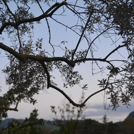 アパート A Casa Montegrino Valtravaglia