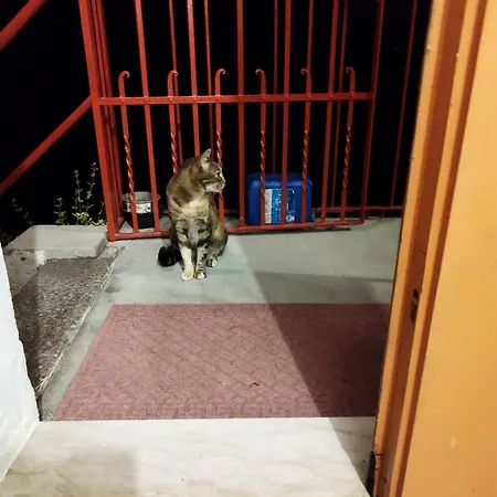 A Casa شقة *